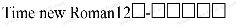 Time new Roman12号字体转换